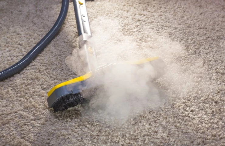 Dry Carpet Cleaning vs. Steam Carpet Cleaning – Which is Better?