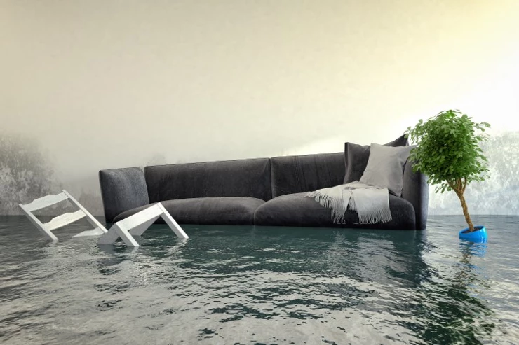 Facts You Should Know About Water Damage