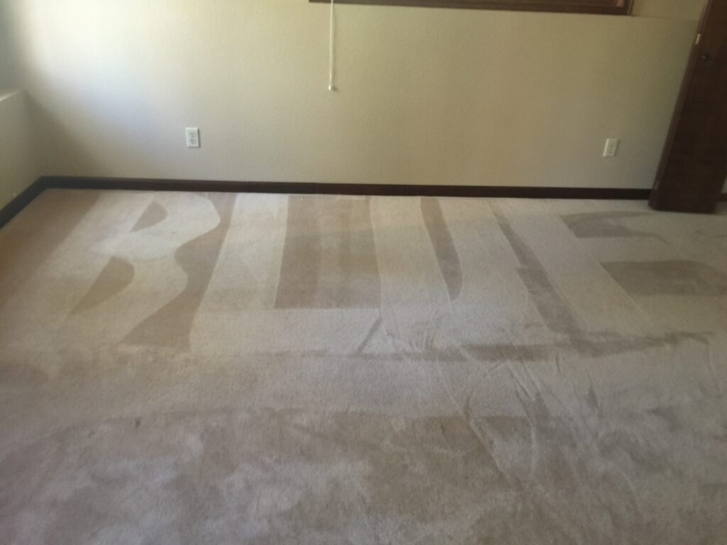Blues Carpet Cleaning