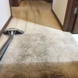 carpet cleaning in manitou springs colorado